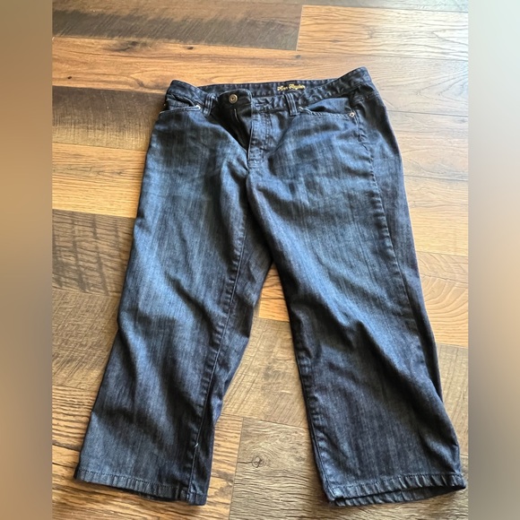 Ann Taylor Casual Denim Capri Pants Women’s 12 - Picture 1 of 6
